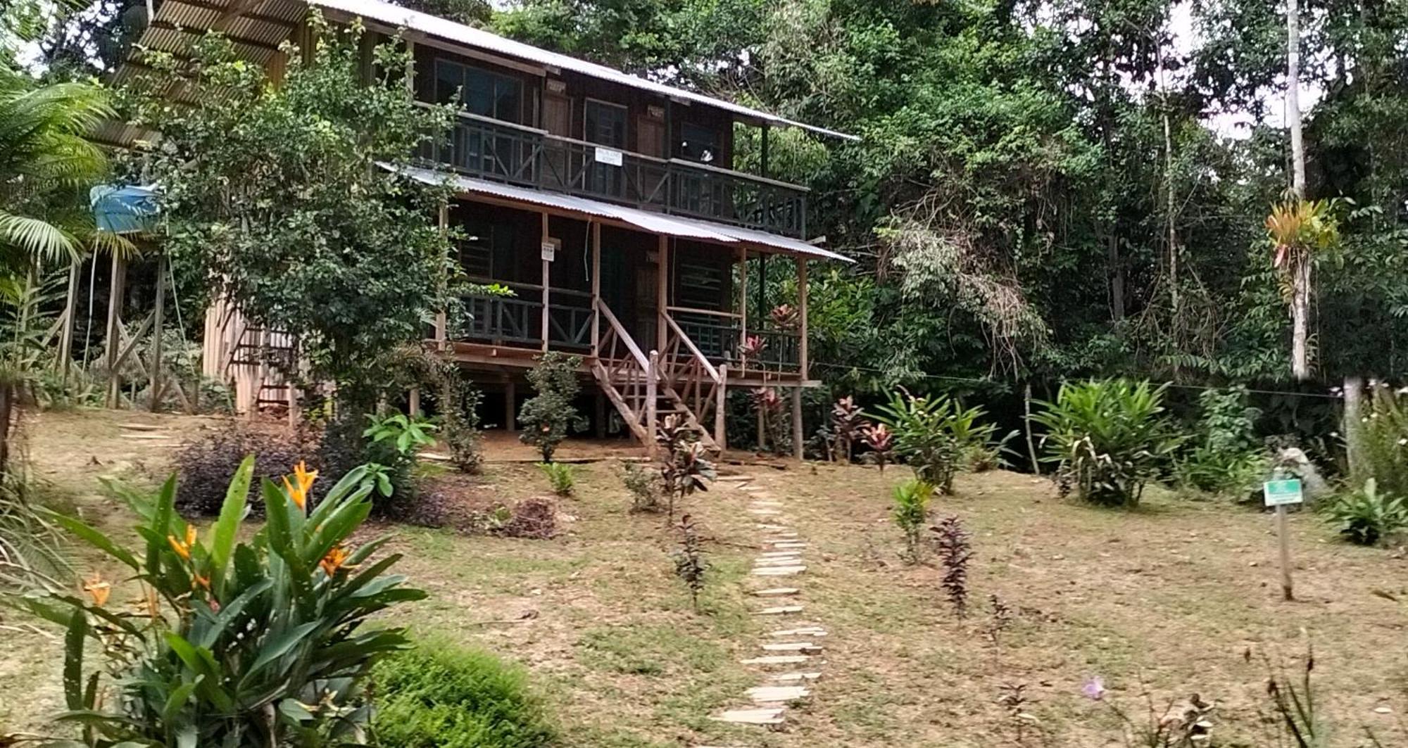 Cabanas Eco Logicas Mu'Ue Loreto Mocagua Exterior photo